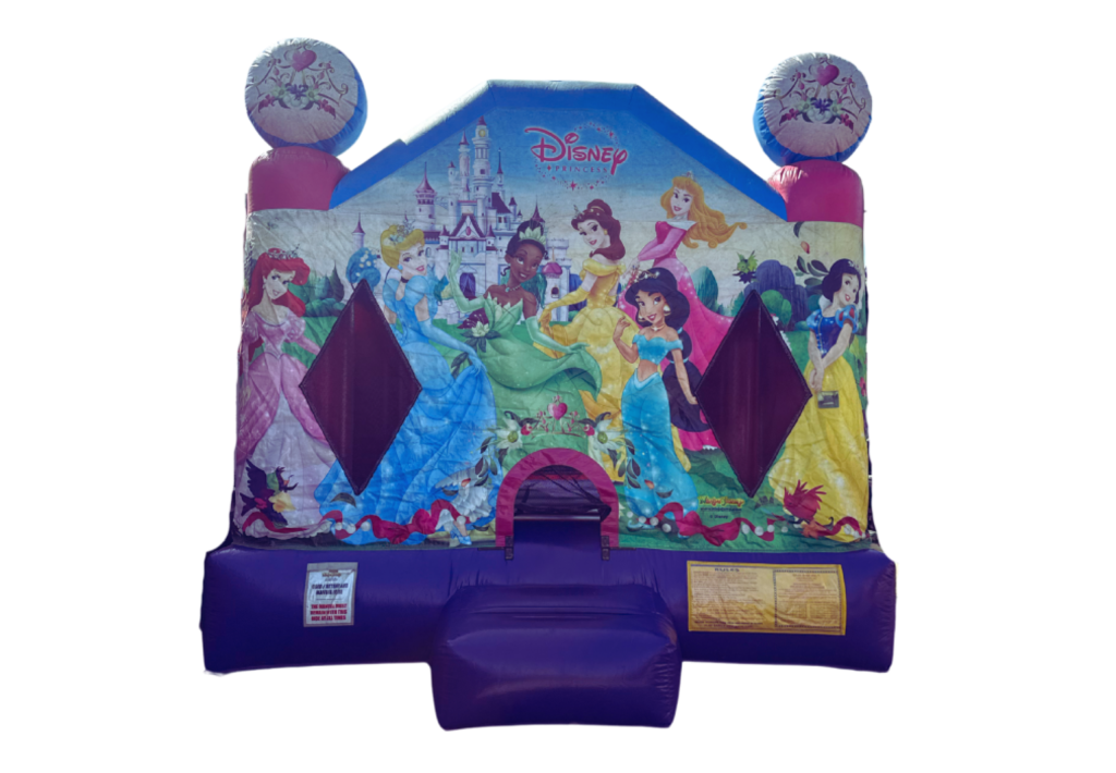 Disney Princess Castle