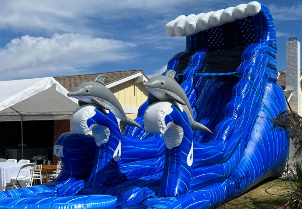 Dolphin Waterslide